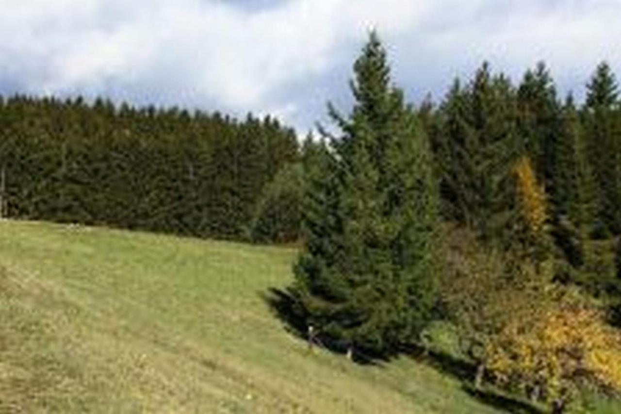 Landgasthof Hauser Immendingen Exterior photo